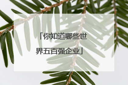你知道哪些世界五百强企业