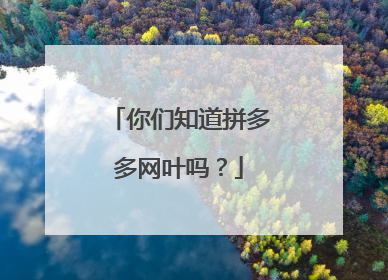 你们知道拼多多网叶吗?