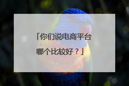 你们说电商平台哪个比较好?