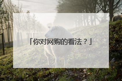 你对网购的看法？