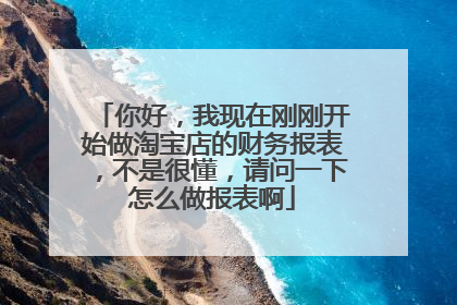 你好,我现在刚刚开始做淘宝店的财务报表,不是很懂,请问一下怎么做报表啊