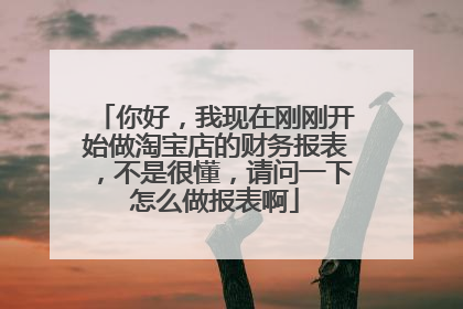 你好,我现在刚刚开始做淘宝店的财务报表,不是很懂,请问一下怎么做报表啊