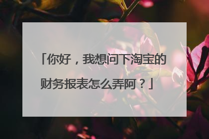 你好,我想问下淘宝的财务报表怎么弄阿?