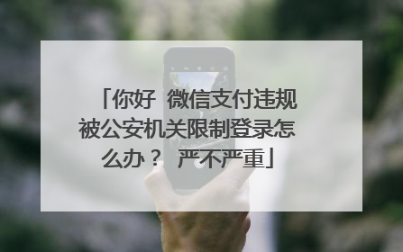 你好 微信支付违规被公安机关限制登录怎么办? 严不严重