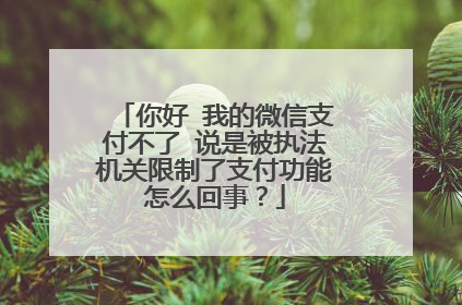 你好 我的微信支付不了 说是被执法机关限制了支付功能怎么回事?