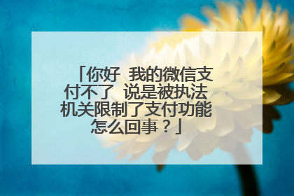 你好 我的微信支付不了 说是被执法机关限制了支付功能怎么回事?