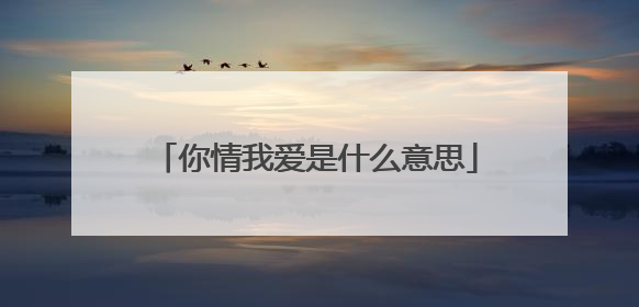 你情我爱是什么意思