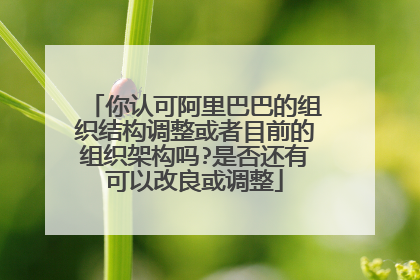 你认可阿里巴巴的组织结构调整或者目前的组织架构吗?是否还有可以改良或调整