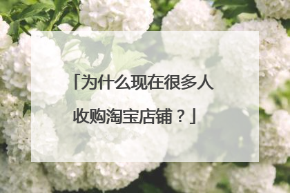 为什么现在很多人收购淘宝店铺？
