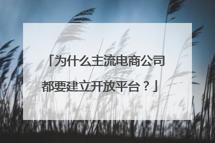 为什么主流电商公司都要建立开放平台？