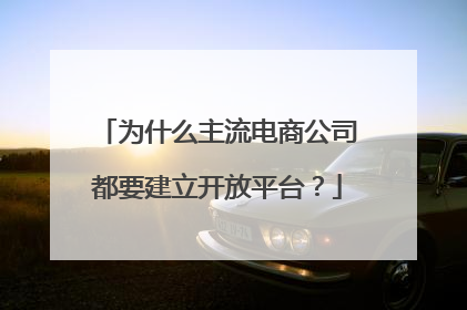 为什么主流电商公司都要建立开放平台?