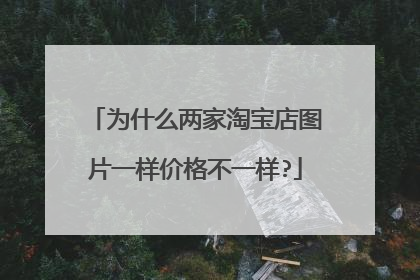 为什么两家淘宝店图片一样价格不一样?