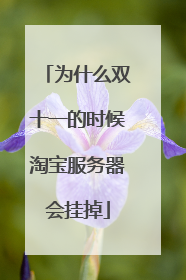为什么双十一的时候淘宝服务器会挂掉