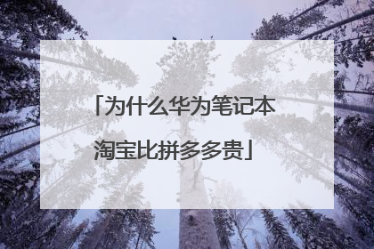 为什么华为笔记本淘宝比拼多多贵