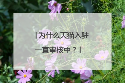 为什么天猫入驻一直审核中?