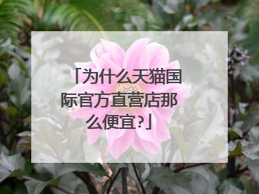 为什么天猫国际官方直营店那么便宜?
