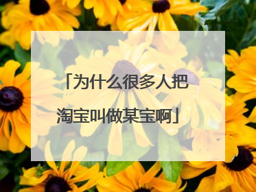 为什么很多人把淘宝叫做某宝啊
