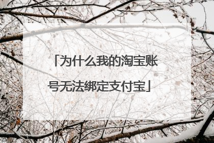 为什么我的淘宝账号无法绑定支付宝