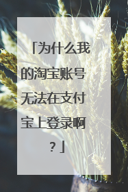 为什么我的淘宝账号无法在支付宝上登录啊?