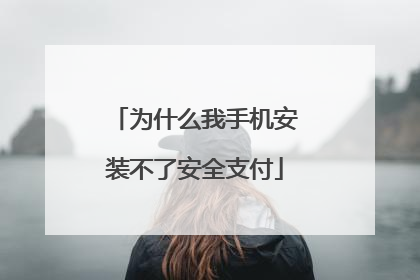 为什么我手机安装不了安全支付