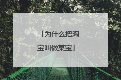 为什么把淘宝叫做某宝