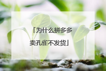 为什么拼多多卖孔雀不发货