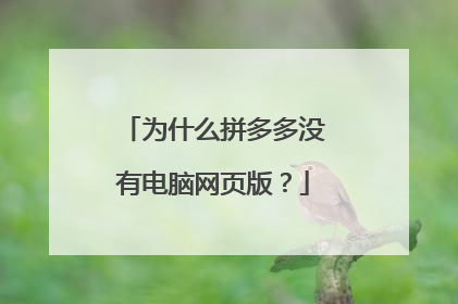 为什么拼多多没有电脑网页版?
