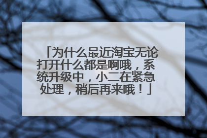 为什么最近淘宝无论打开什么都是啊哦，系统升级中，小二在紧急处理，稍后再来哦！