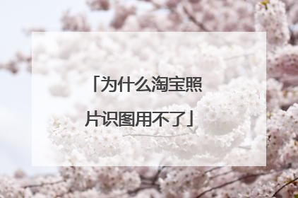 为什么淘宝照片识图用不了