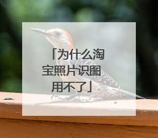 为什么淘宝照片识图用不了