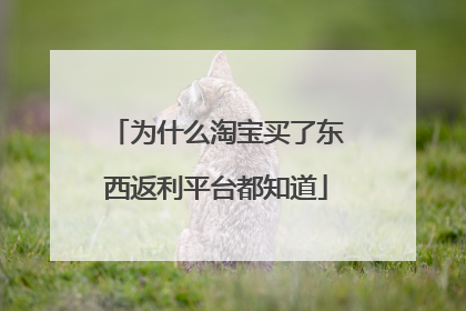 为什么淘宝买了东西返利平台都知道