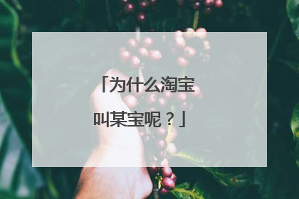 为什么淘宝叫某宝呢？