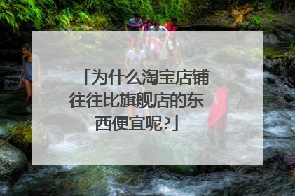 为什么淘宝店铺往往比旗舰店的东西便宜呢?
