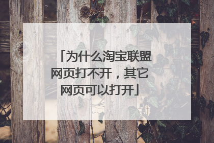 为什么淘宝联盟网页打不开，其它网页可以打开