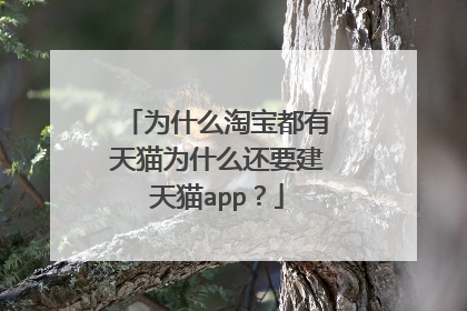 为什么淘宝都有天猫为什么还要建天猫app？