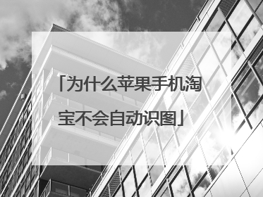 为什么苹果手机淘宝不会自动识图