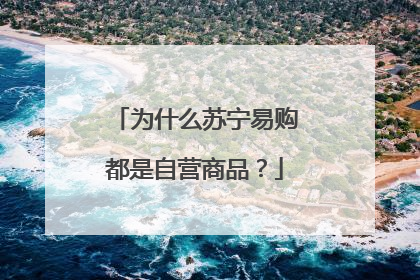 为什么苏宁易购都是自营商品?