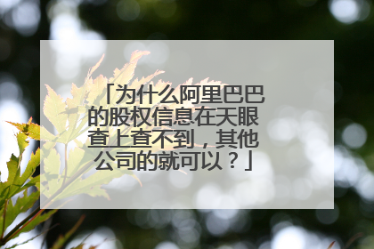 为什么阿里巴巴的股权信息在天眼查上查不到,其他公司的就可以?