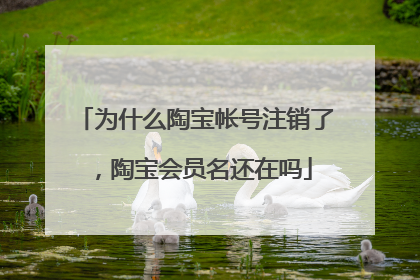 为什么陶宝帐号注销了,陶宝会员名还在吗