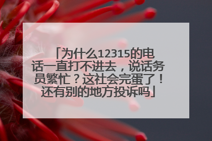 为什么12315的电话一直打不进去,说话务员繁忙?这社会完蛋了!还有别的地方投诉吗