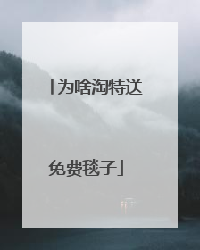 为啥淘特送免费毯子
