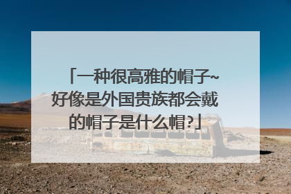 一种很高雅的帽子~好像是外国贵族都会戴的帽子是什么帽?