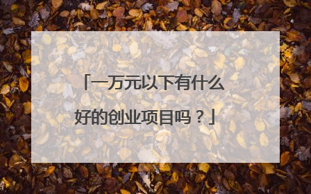 一万元以下有什么好的创业项目吗?