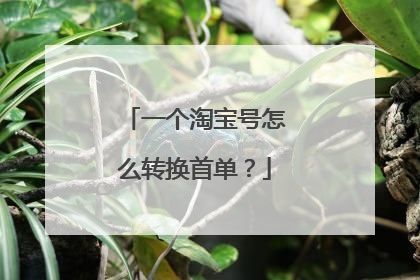 一个淘宝号怎么转换首单？