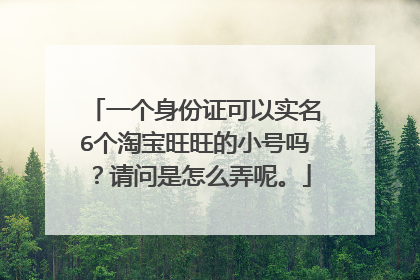 一个身份证可以实名6个淘宝旺旺的小号吗？请问是怎么弄呢。