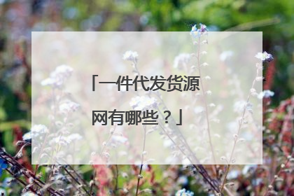 一件代发货源网有哪些?