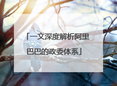 一文深度解析阿里巴巴的政委体系