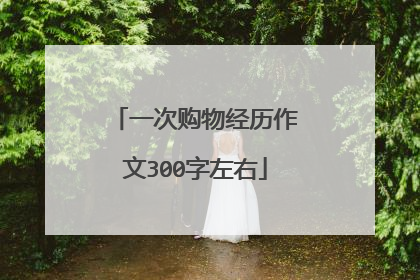 一次购物经历作文300字左右
