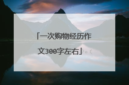 一次购物经历作文300字左右