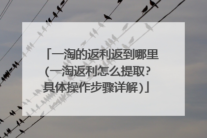 一淘的返利返到哪里(一淘返利怎么提取?具体操作步骤详解)